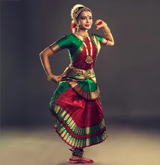 Learn_from_Classical_Experts